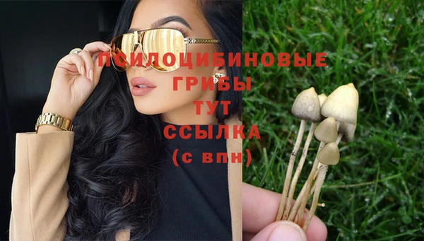 гашик Майский