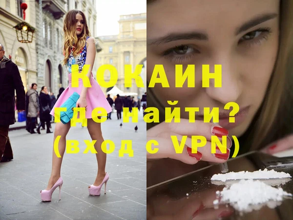 стаф Магадан