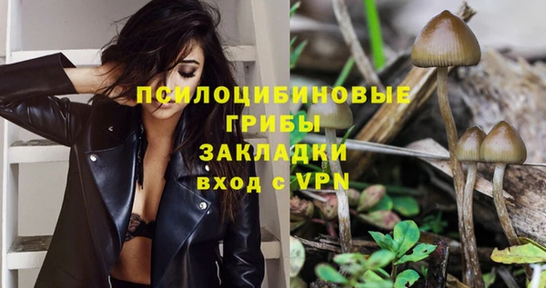 прущие грибы Ивангород