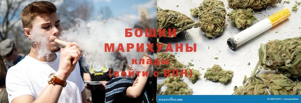 гашик Майский