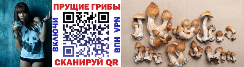 сколько стоит  Малмыж  Галлюциногенные грибы ЛСД 