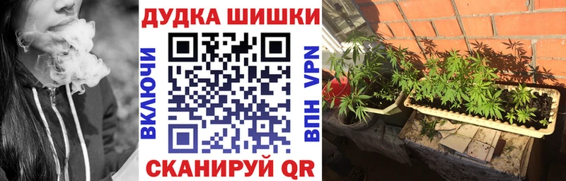 OMG вход  продажа наркотиков  Малмыж  Шишки марихуана гибрид 